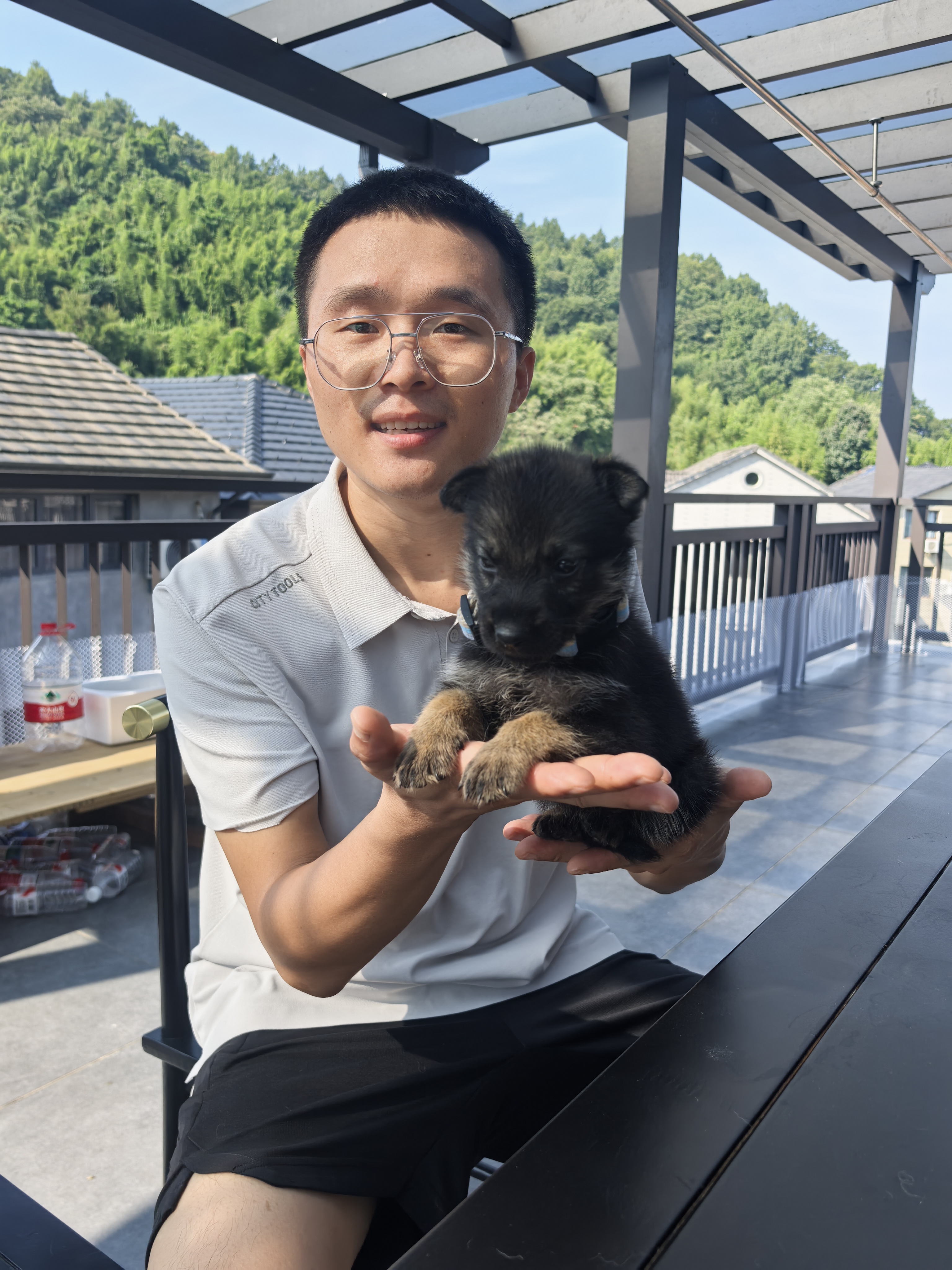 三只双血统东德（带芯片+防丢定位器）